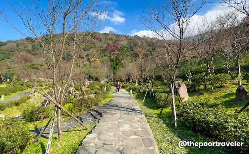 Yangmingshan Natl Park 1